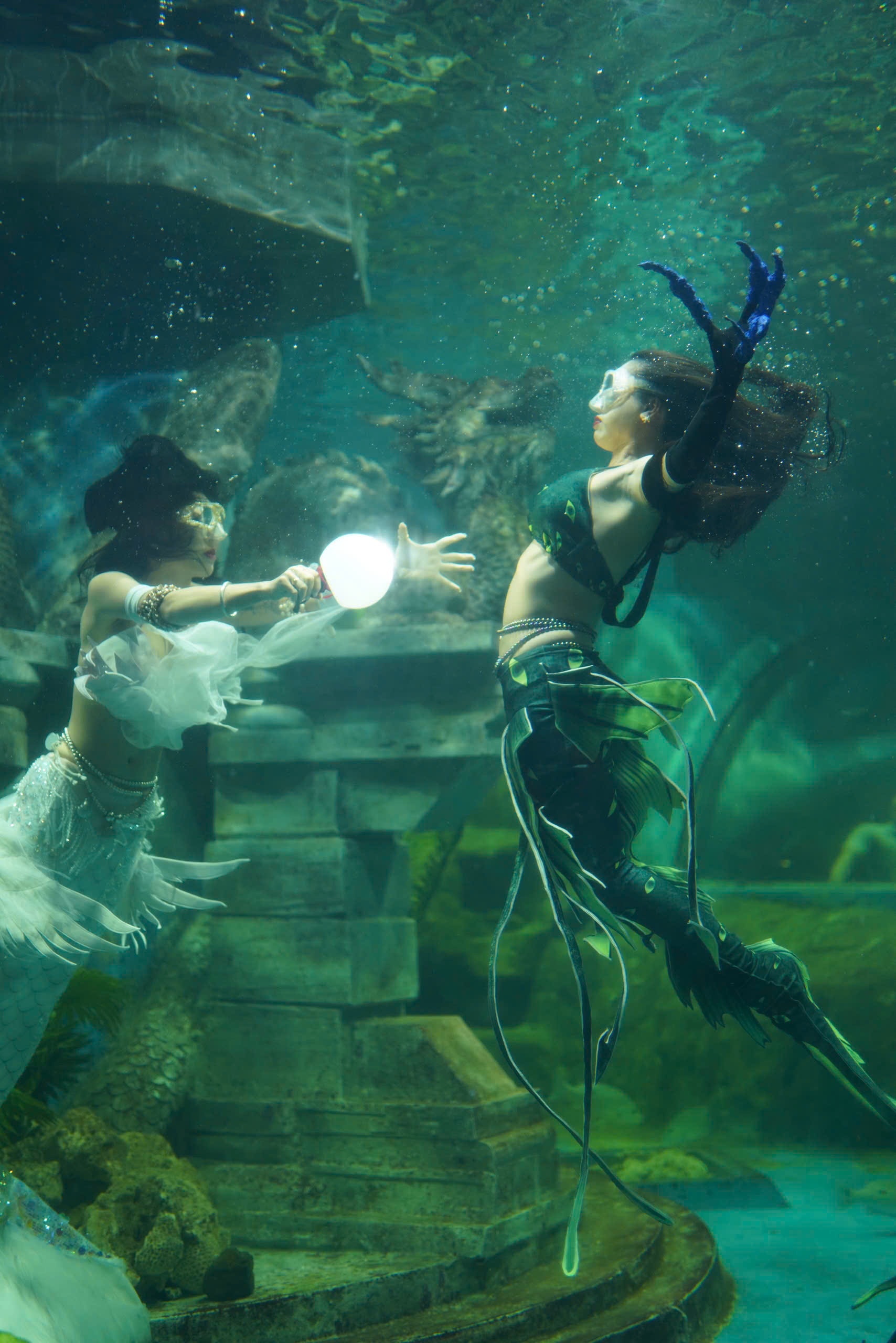 nàng tiên cá ảnh 6 nang tien ca anh 6