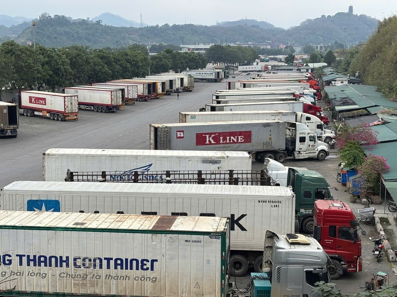 Chinh thuc de xuat tam dung Nghi dinh 46 va Nghi quyet 66.13/2026 hinh anh