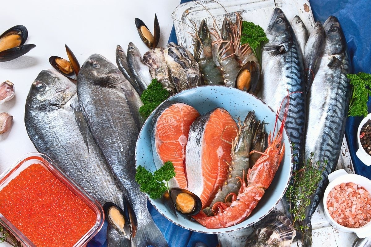 Nhung loai ca sieu dinh duong hinh anh