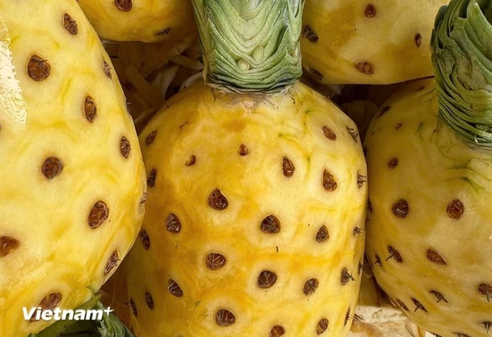 qua dua dinh duong anh 1