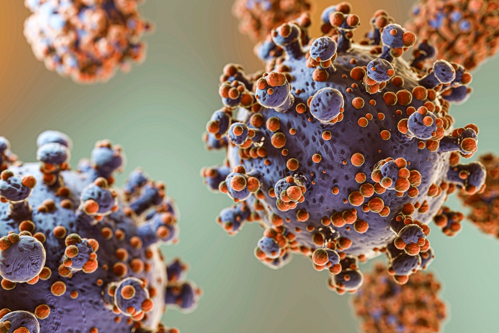 Virus Hanta khien 3 nguoi khong qua khoi, Bo Y te canh bao khan hinh anh