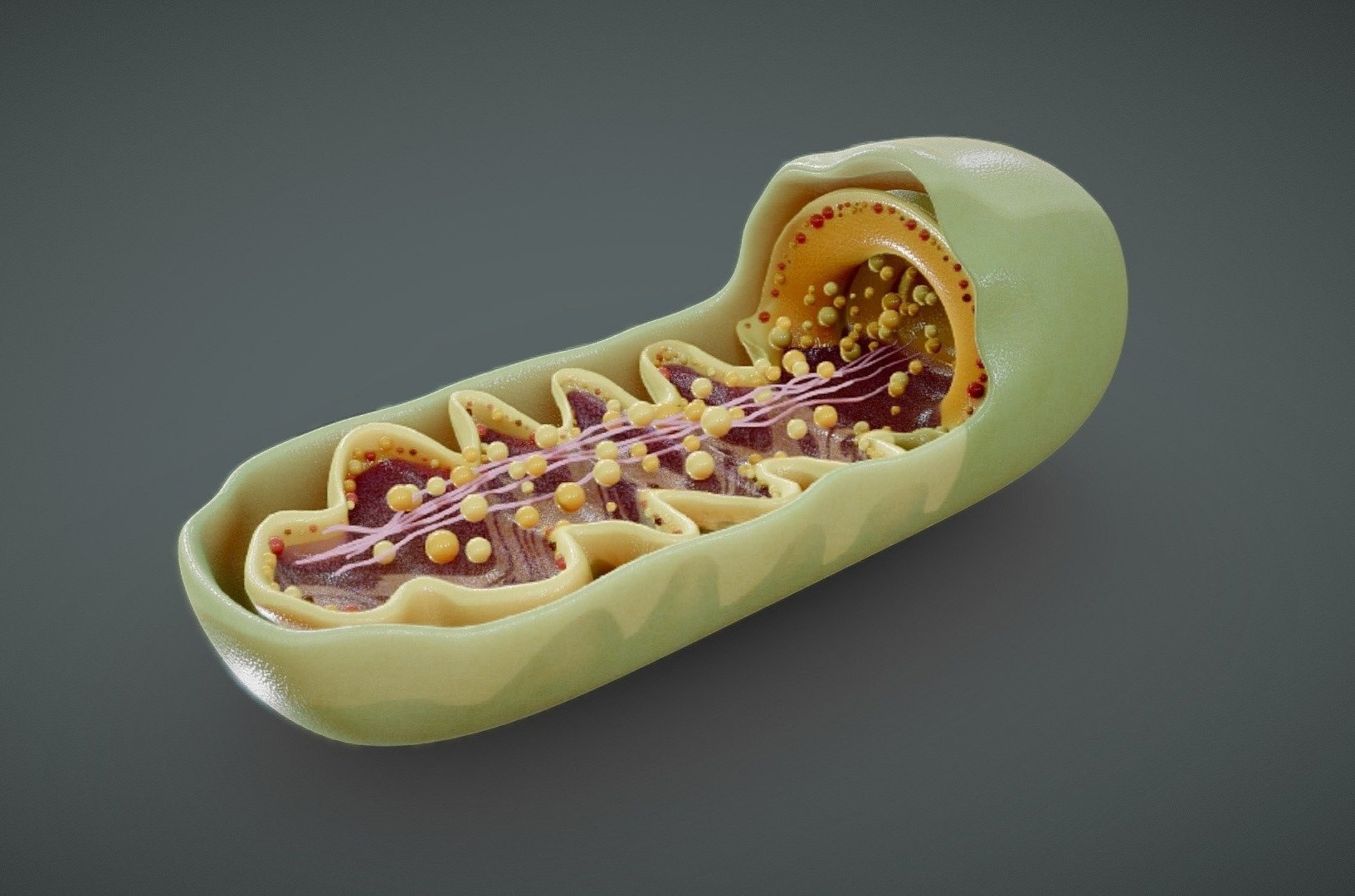 lao hoa anh 1