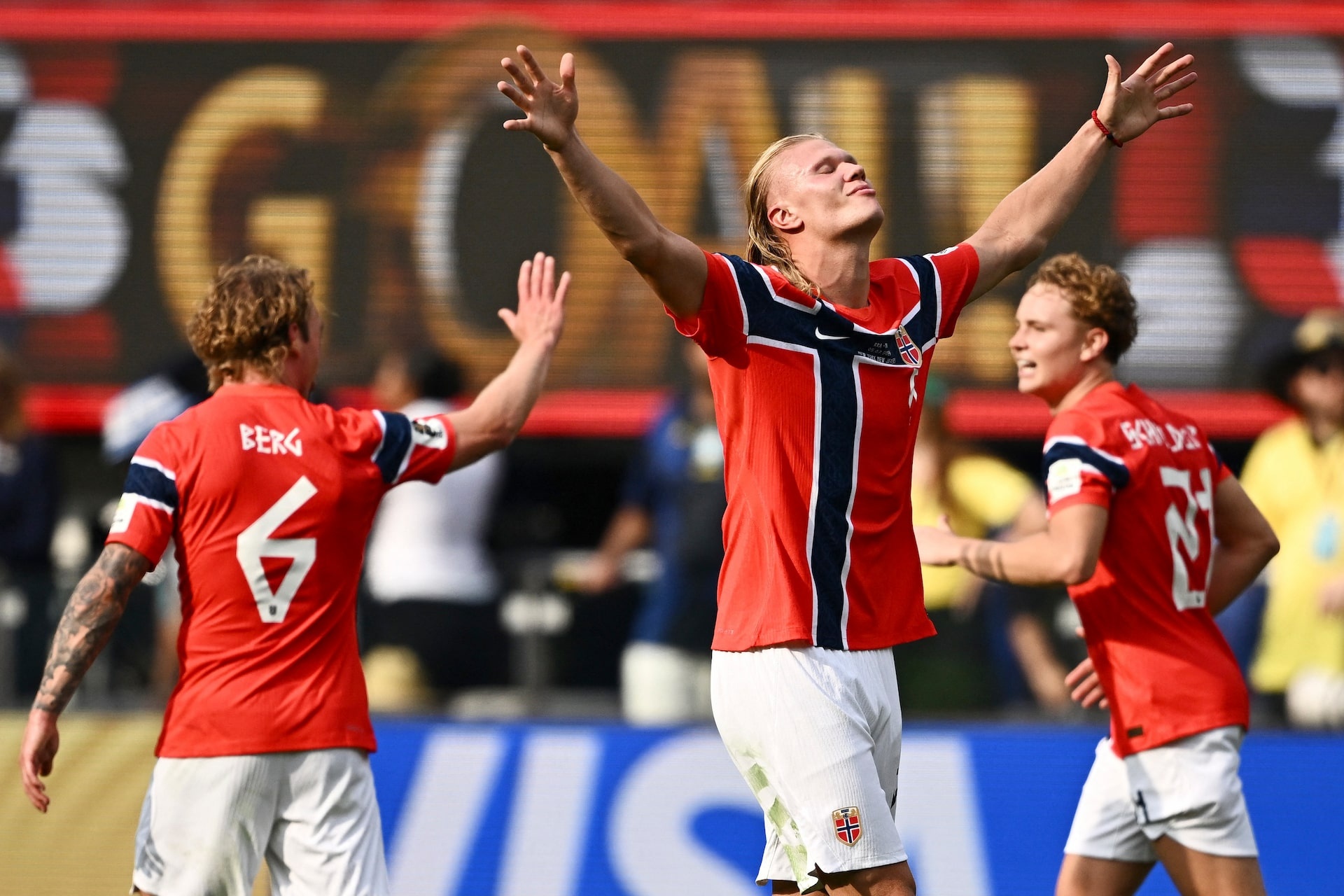Erling Haaland ảnh 1