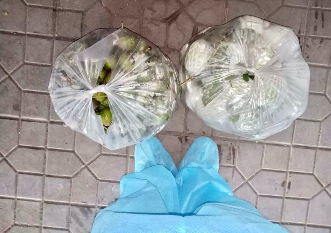 Mon qua bat ngo tai xe tang co gai truc chot chong dich hinh anh