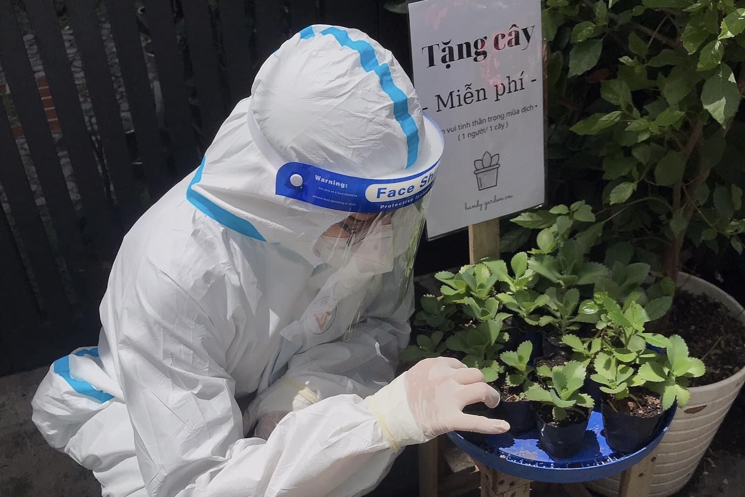 Tinh nguyen vien duoc tang cay xanh khi di lam nhiem vu hinh anh