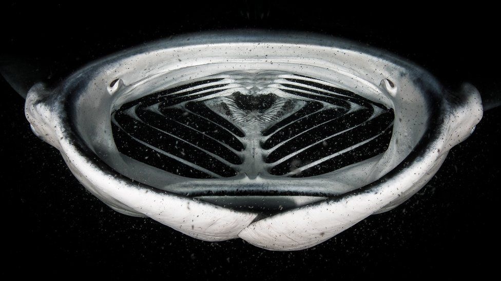 cuoc thi nhiep anh,  thien nhien,  giai cao anh 7