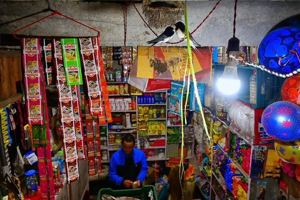 cuoc thi nhiep anh,  thien nhien,  giai cao anh 8