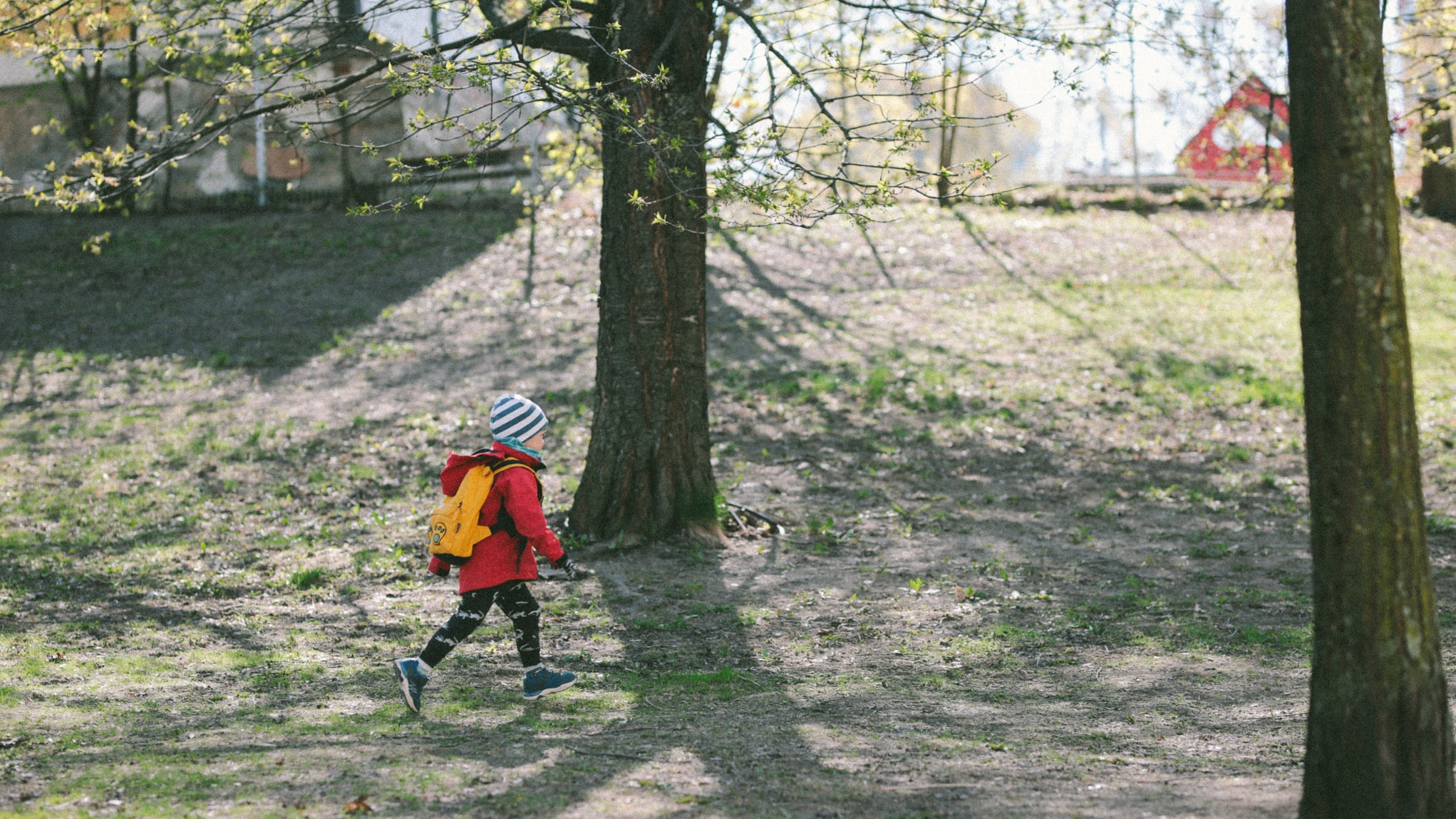 Cuoc song nguoi goc Viet o dat nuoc da tuyen bo het dich Covid-19 hinh anh