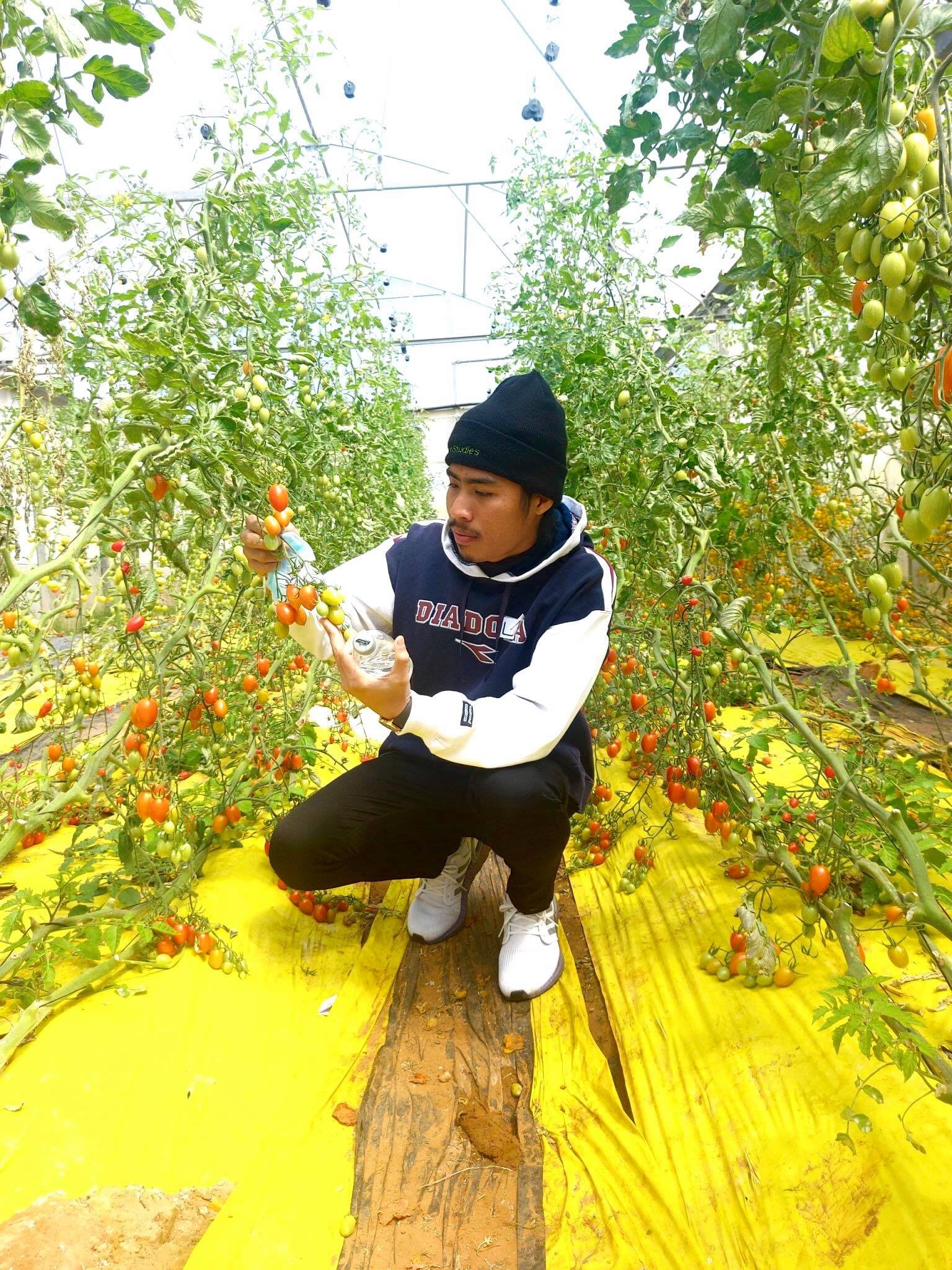 lenh deo khau trang,  nguoi Viet tai Israel anh 6