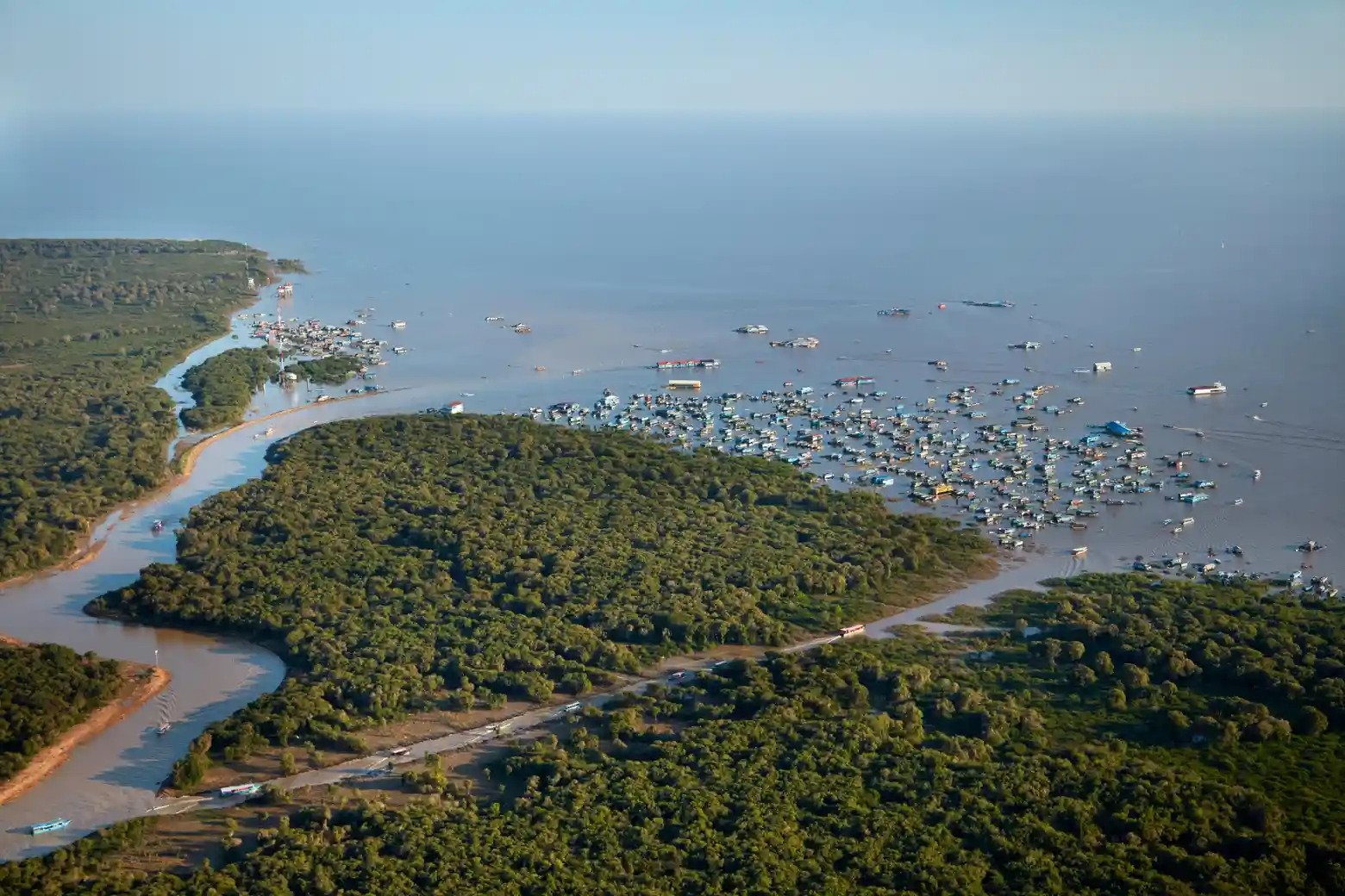 co nguy co tuyet chung,  Lao anh 4