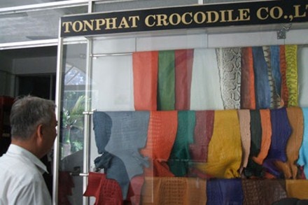 Kiem bac trieu tu nghe nuoi ca sau xe da may do hinh anh