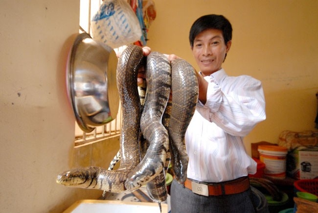 Dong vat 'doc' cho dai gia, ngan hang cang day hot nhat tuan hinh anh