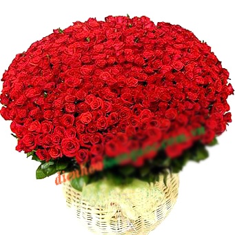 Lang hoa gia 'khung' 25 trieu dong cho 20/10 hinh anh