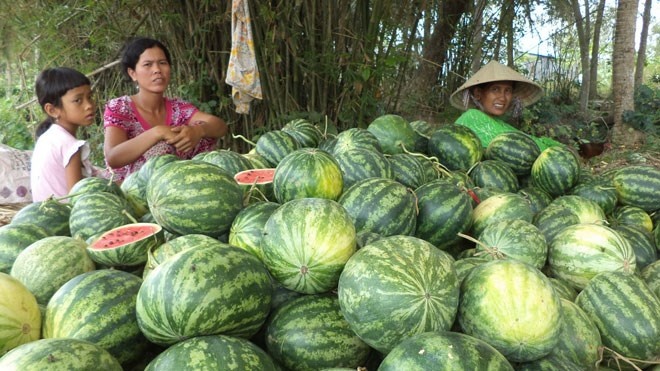 Chu dua thanh con no hinh anh