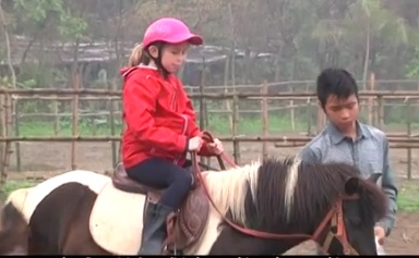 Gan nua trieu dong/gio hoc cuoi ngua Tay o Ha Noi hinh anh