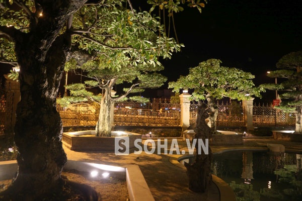 Cây Lộc Vừng là loại cây nằm trong bộ tam đa sinh vật cảnh (gồm có Cây Vạn Thiên Tuế ứng với Thọ, Cây Lộc Vừng ứng với Lộc và Cây Sung ứng với Sung túc). Theo phong thủy, cây Lộc Vừng thường biểu trưng và mang lại sự tài lộc và may mắn cho gia chủ. Phân tích theo tên của cây thì Lộc ứng với tài lộc, Vừng ngụ ý tuy nhỏ nhưng có rất nhiều. Cộng với hoa của cây thường có màu đỏ sặc sỡ rất đẹp là biểu tượng cho sự thịnh vượng, phát tài phát lộc giống như hạt vừng, tuy nhỏ nhưng đẹp và rất nhiều. Thêm nữa là nó thường đem lại sự bình yên và phát triển về khía cạnh kinh tế cho gia chủ.