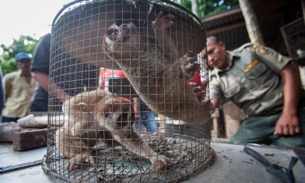 8 nganh nghe co the bi cam kinh doanh o Viet Nam hinh anh