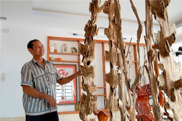 Nuoi kien tao tram huong, thu loi hang chuc ty dong hinh anh