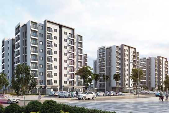 Ong lon dia oc rot von xay nha gia re hinh anh