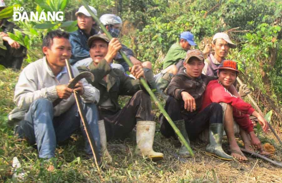 Do xo di tim bat rua ban gia 7 trieu dong/kg hinh anh