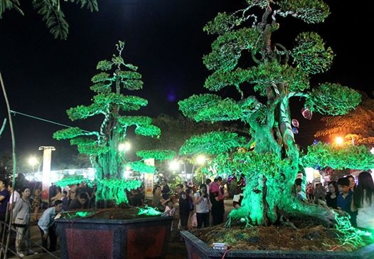 Cap khe 300 tuoi tra gia 5 ty chua ban o Sai Gon hinh anh