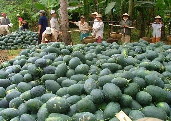 Truy tim 20 ty USD Trung Quoc vao Viet Nam: Bat luc? hinh anh