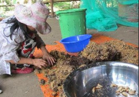 Khoc rong vi duong dua chuyen phuc vu dai gia o mien Tay hinh anh