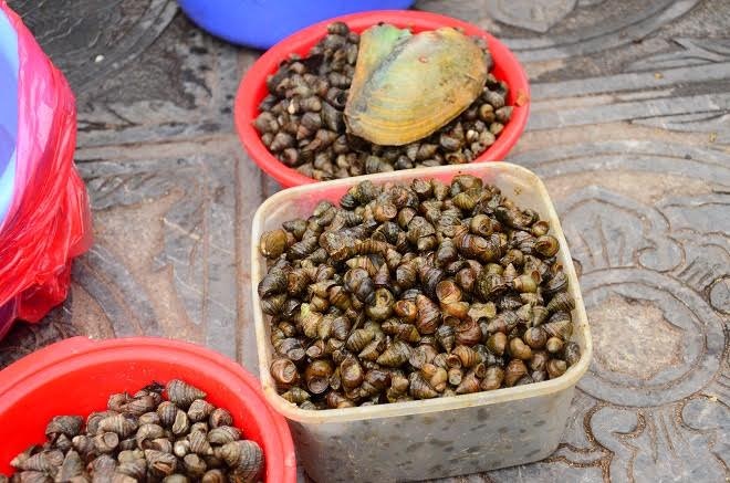 Oc phong sinh doi gia gap 8 trong ngay ram thang Gieng hinh anh