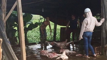 Lon 'khoa than' tran vao noi thanh hinh anh