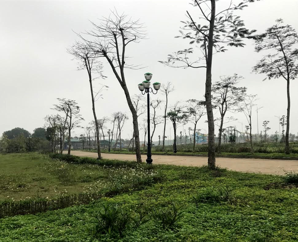 tuan chau ha noi,  tuan chau ecopark,  chua dao anh 8