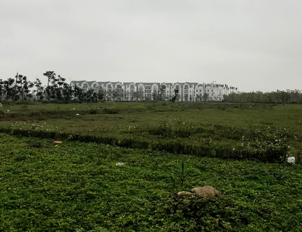 tuan chau ha noi,  tuan chau ecopark,  chua dao anh 9