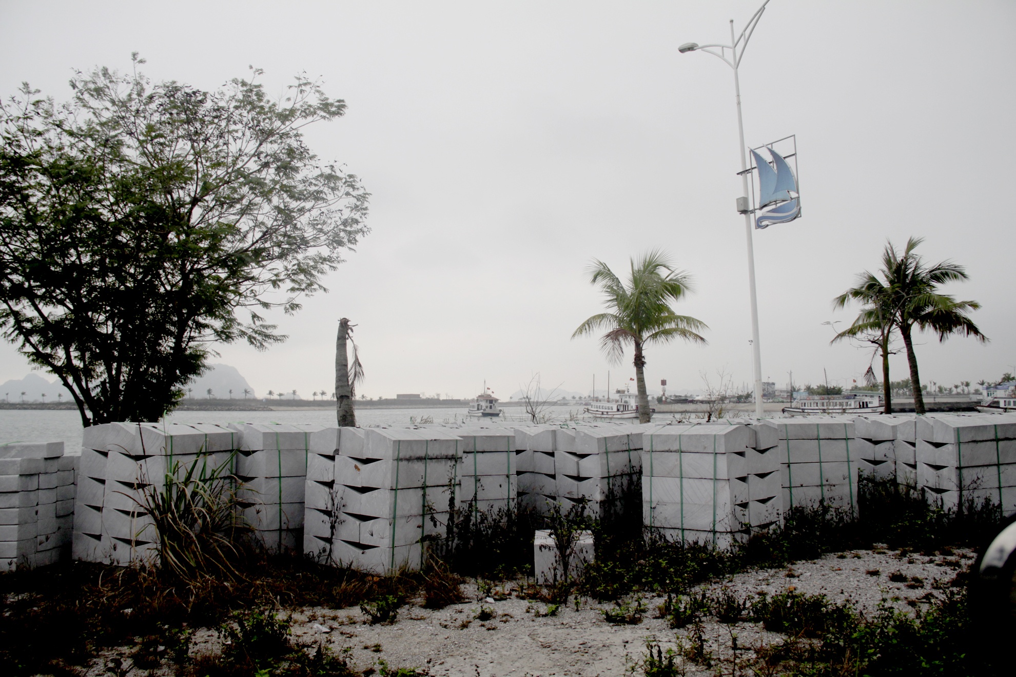 tuan chau ha long,  tuan chau dao hong tuyen,  chua dao tuan chau anh 8