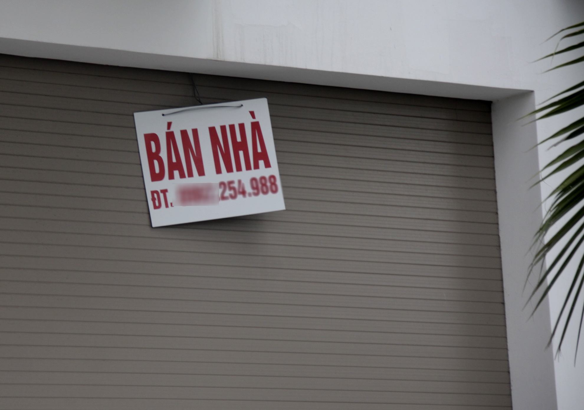 Can canh sieu du an cua 'chua dao' Tuan Chau o Ha Long hinh anh