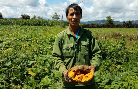 Ban 10 kg bi ngo khong mua noi mot o banh mi hinh anh
