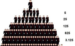 10 ngay, 3 cong ty da cap bi khai tu hinh anh