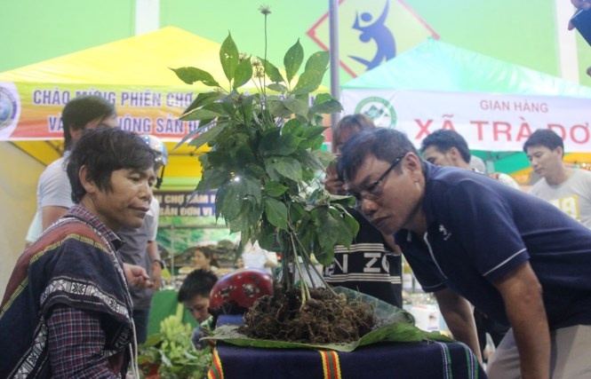 'Ty phu chan dat' cong sam xuong huyen ban hinh anh