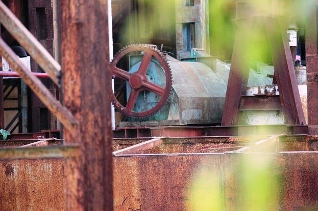 công ty đường Bình Định nợ lương ảnh 2 cong ty duong Binh Dinh no luong anh 2