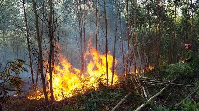 tiết giảm phụ tải điện ở miền Bắc và miền Trung ảnh 1 tiet giam phu tai dien o mien Bac va mien Trung anh 1