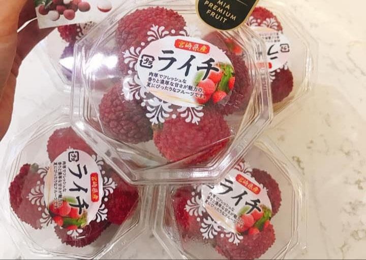 vai khong hat Nhat anh 1