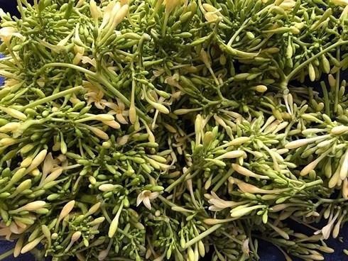 hoa đu đủ đực ảnh 1 hoa du du duc anh 1