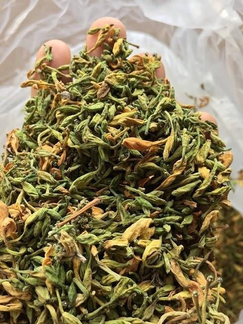 hoa đu đủ đực ảnh 4 hoa du du duc anh 4