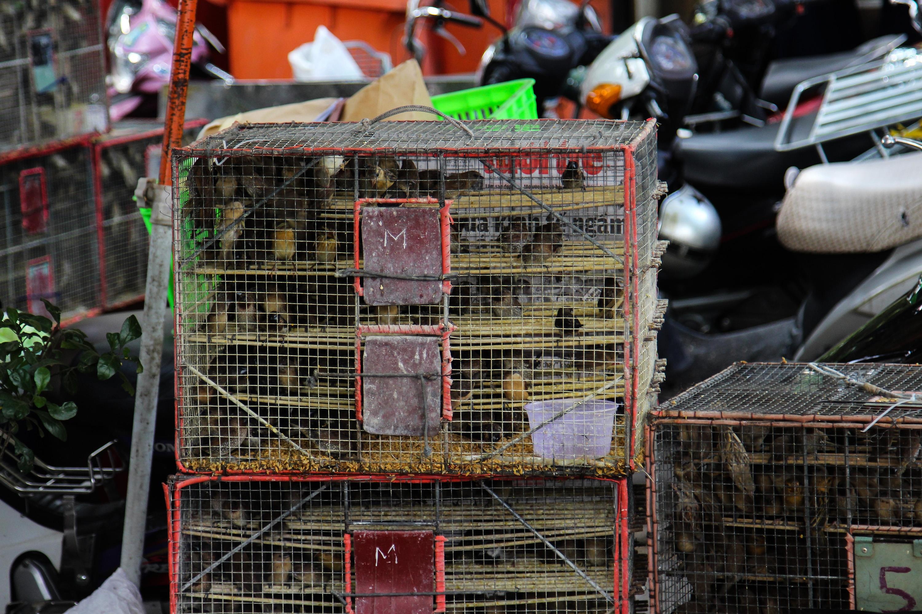 thương mại hóa lễ vu lan ảnh 3 thuong mai hoa le vu lan anh 3