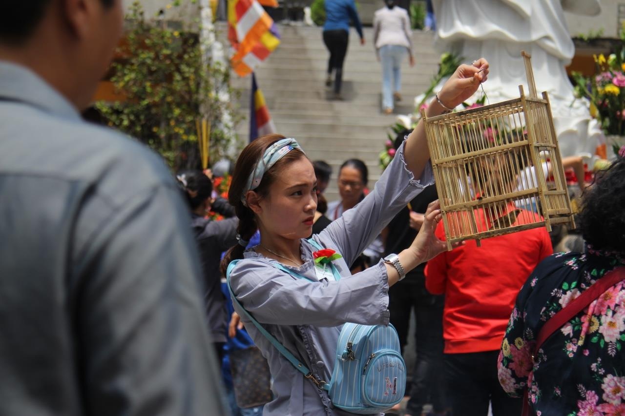 Le Vu Lan bao hieu dang bi thuong mai hoa? hinh anh