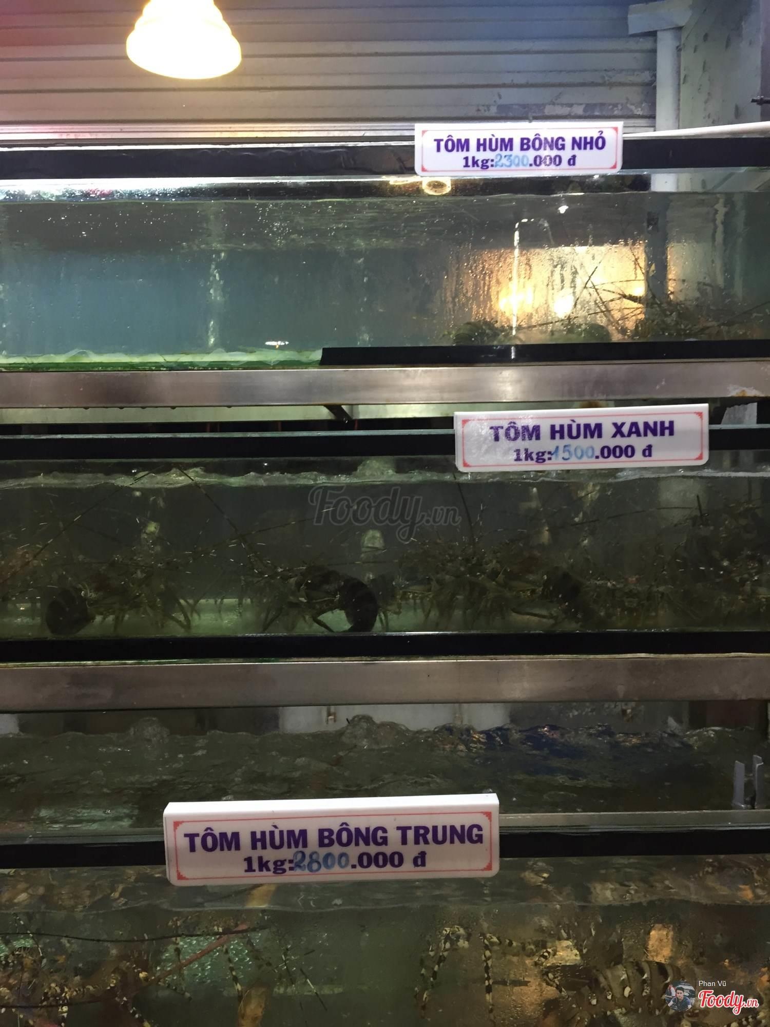 hoa don hai san hon 85 trieu dong anh 2