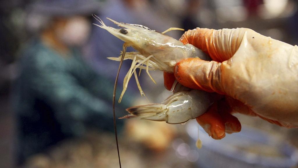 30 doanh nghiep Viet xuat khau tom sang My huong thue 0% hinh anh