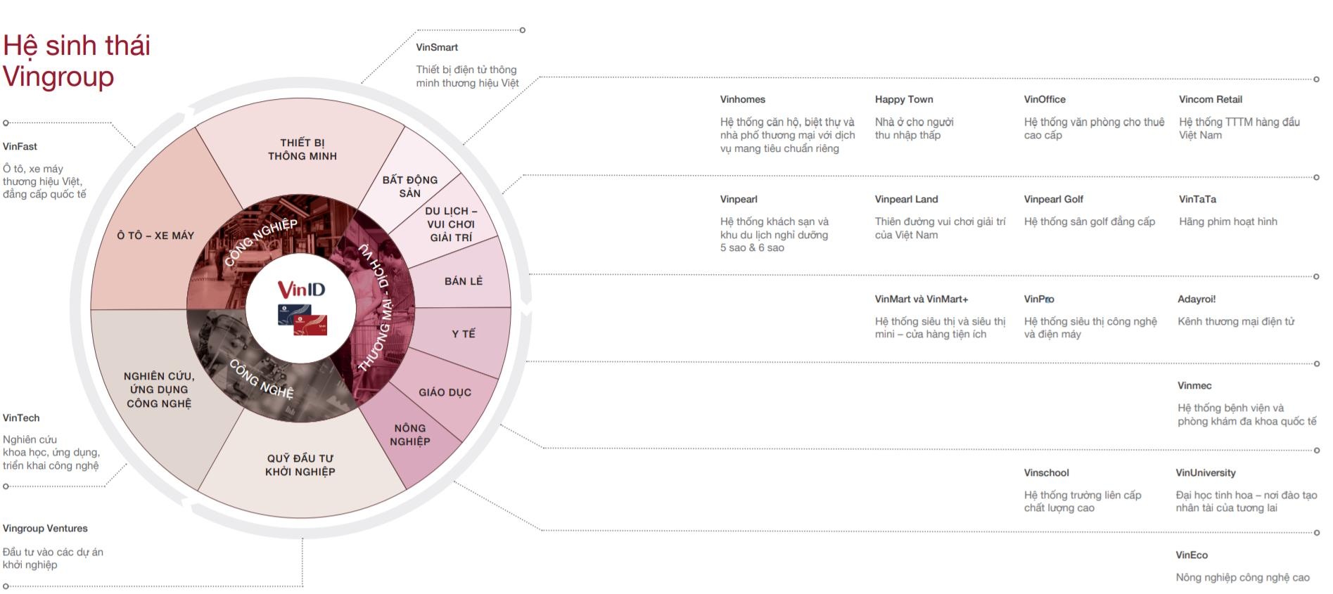 so phan VinID the nao anh 1