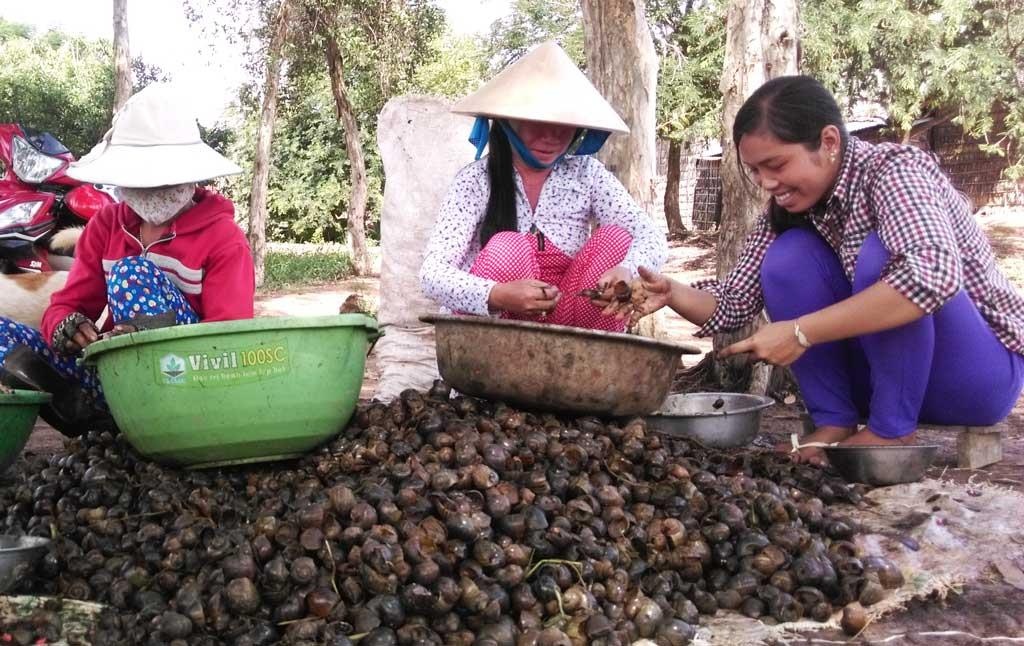 thuong lai Trung Quoc thu mua anh 8