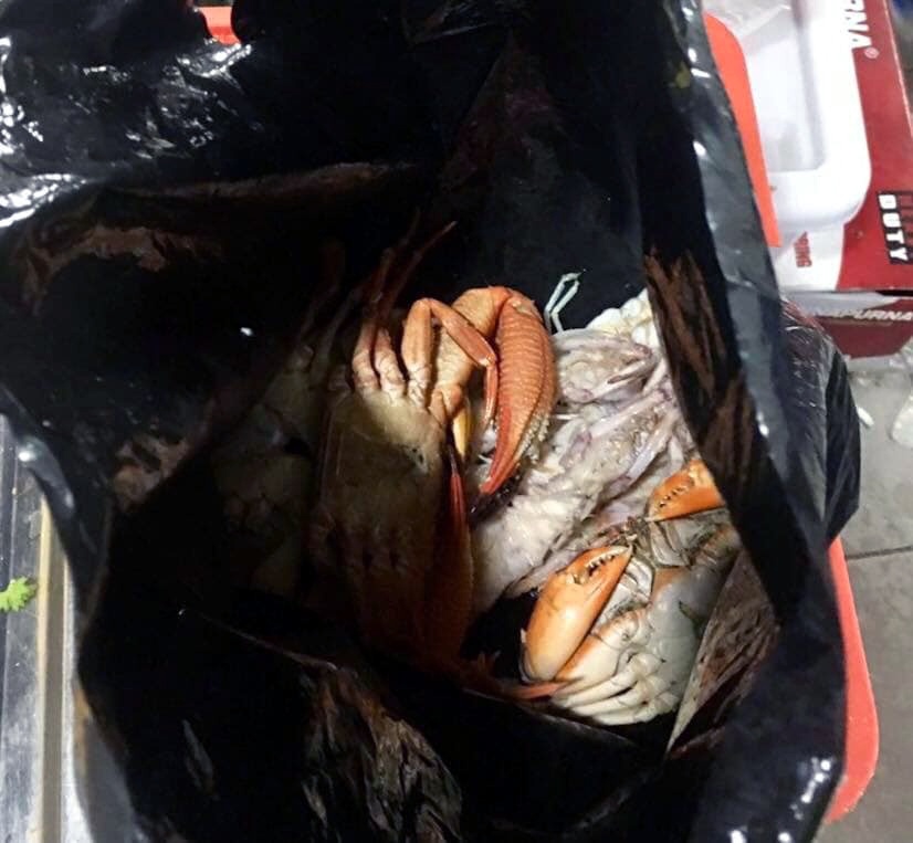 thủ túi ni-lông lấy đồ ăn mang về ảnh 1 thu tui ni-long lay do an mang ve anh 1