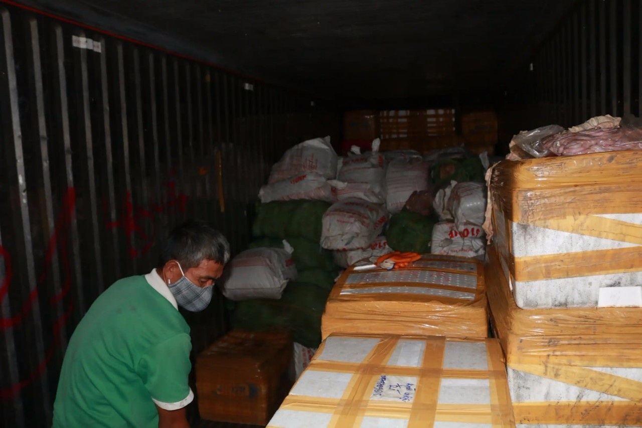 Phat hien 6 tan long lon nhiem dich ta lon chau Phi o Hai Phong hinh anh