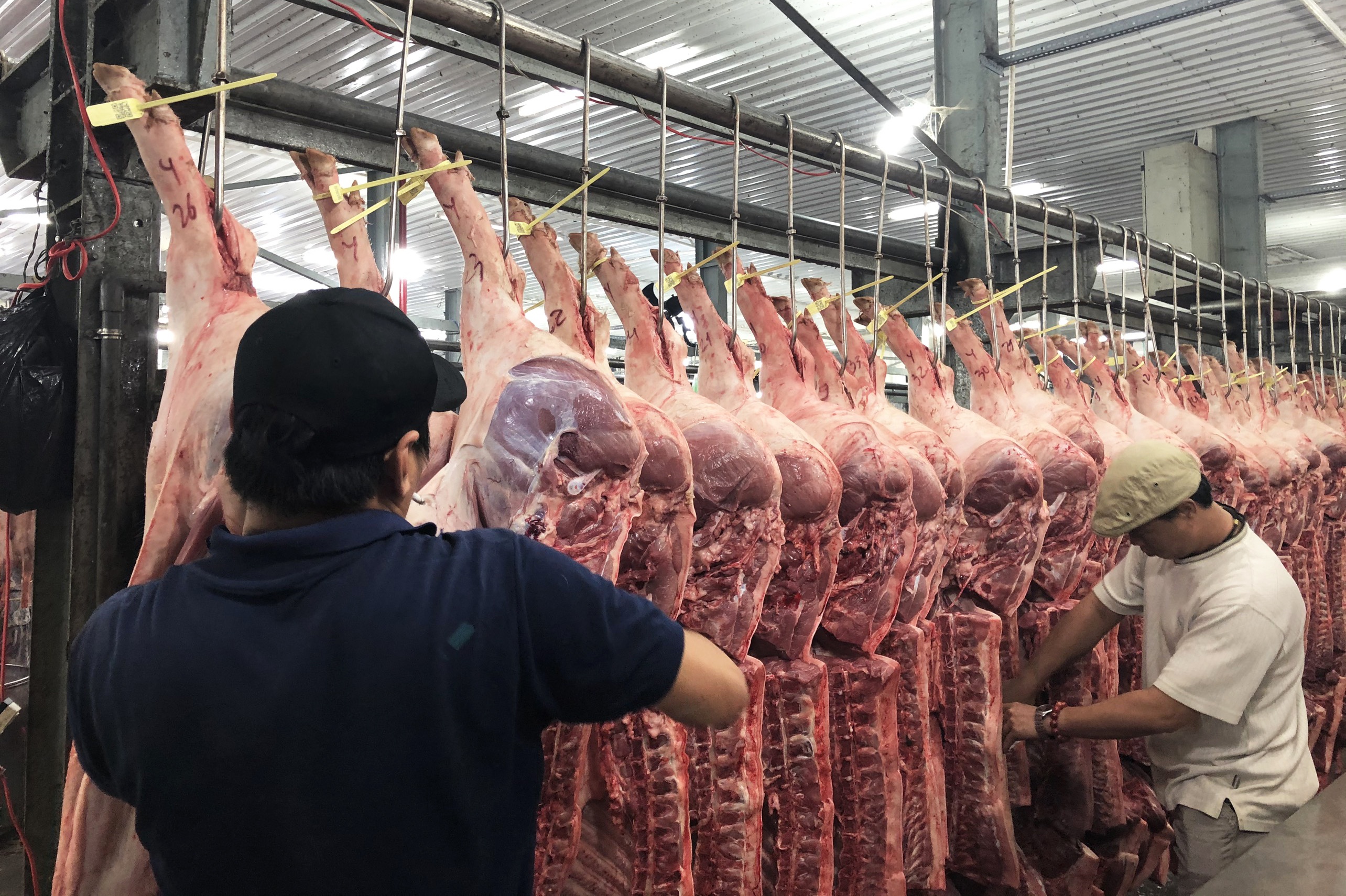 thiếu thịt lợn ảnh 2 thieu thit lon anh 2